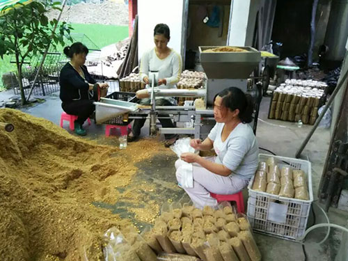 菌农哥：食用菌袋通气的四种技巧