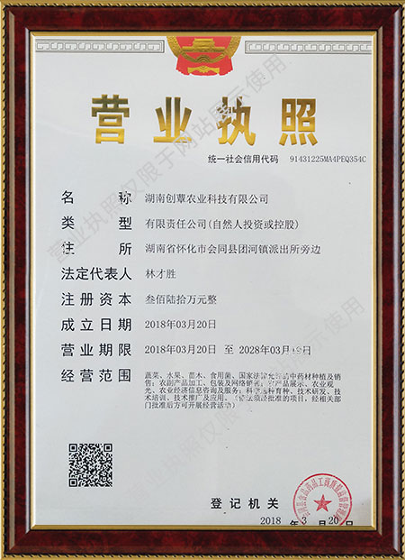 湖南创蕈农业科技有限公司,怀化食用菌种植销售,怀化羊肚菌种植销售,怀化赤松茸种植销售 湖南创蕈农业科技有限公司,怀化食用菌种植销售,怀化羊肚菌种植销售,怀化赤松茸种植销售