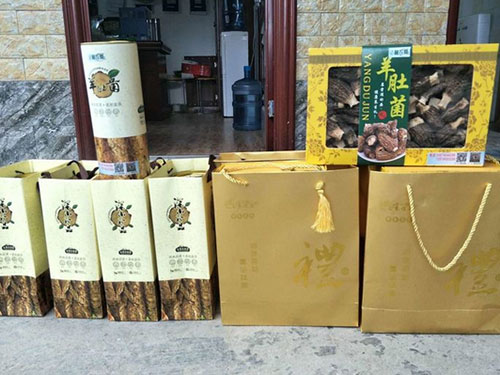 湖南创蕈农业科技有限公司,怀化食用菌种植销售,怀化羊肚菌种植销售,怀化赤松茸种植销售 湖南创蕈农业科技有限公司,怀化食用菌种植销售,怀化羊肚菌种植销售,怀化赤松茸种植销售