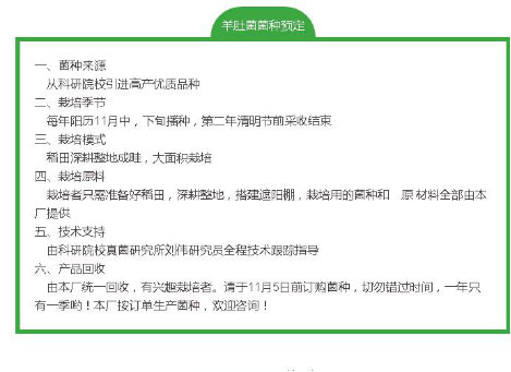 湖南创蕈农业科技有限公司,怀化食用菌种植销售,怀化羊肚菌种植销售,怀化赤松茸种植销售